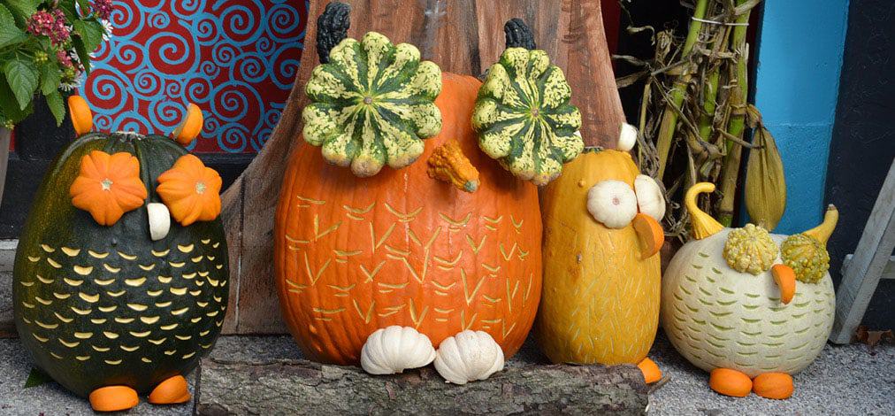 Pumpkin Patch Festival and Ephraim lodging