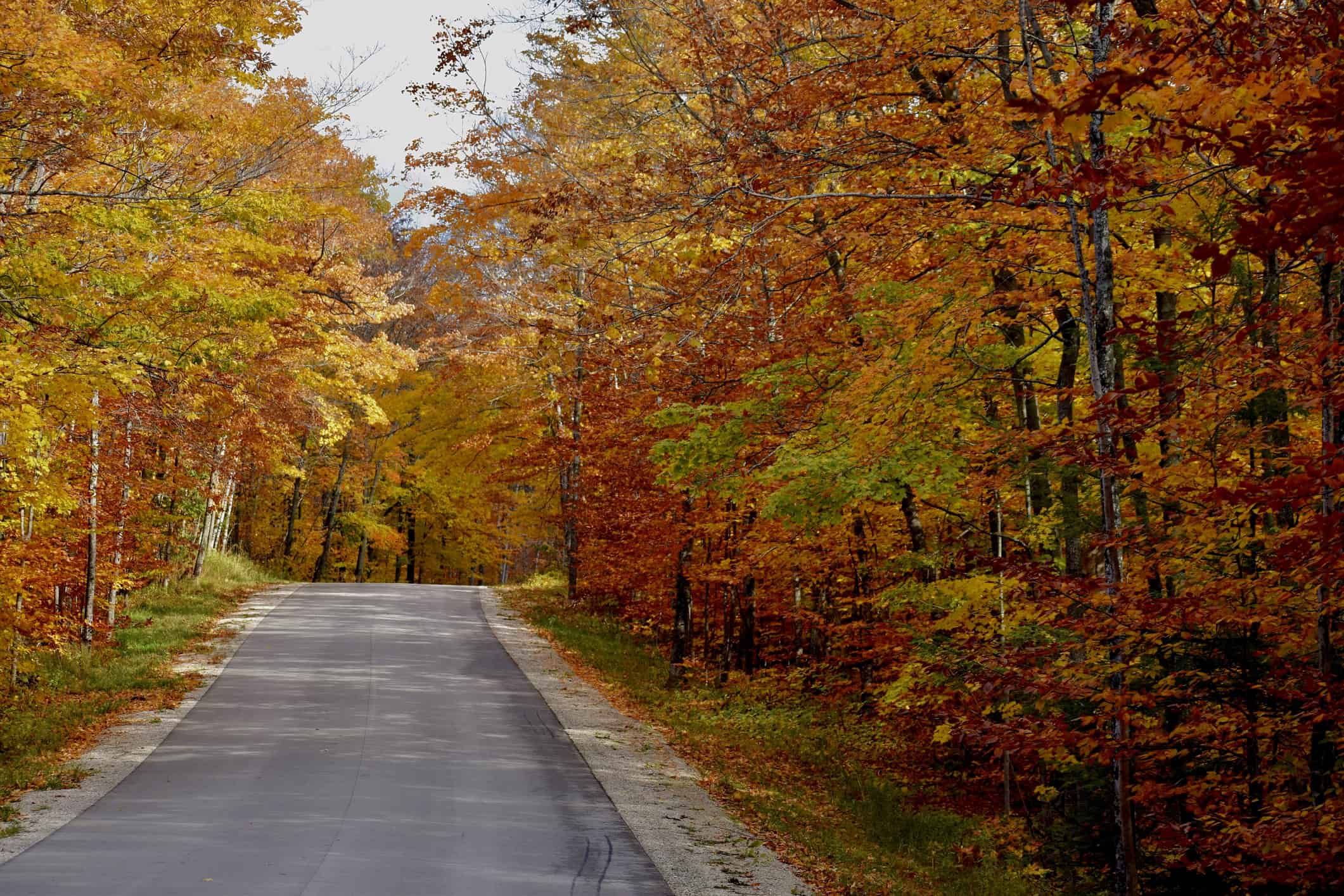 Door County peak fall colors