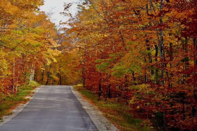 Things to do in Door County in October
